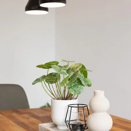 Apartamento Cityview Balcony - In The Heart Of Biel