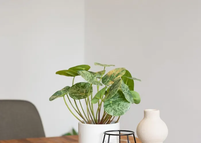 Appartamento Cityview Balcony - In The Heart Of Bienne